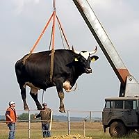 Vista 7 de Columpio Giratorio, Dispositivo de Rotación de Seguridad de 35KN, Columpio para Danza Aérea para Niños, Hamaca Colgante (Plata Completa)