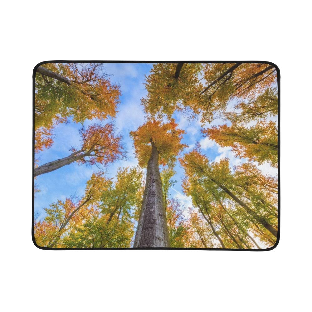 JEOLVP Autumn Beech Trees Crowns Beautiful Seasonal Portable And Foldable Blanket Mat 60x78 Inch Handy Mat For Camping Picnic Beach Indoor Outdoor Travel