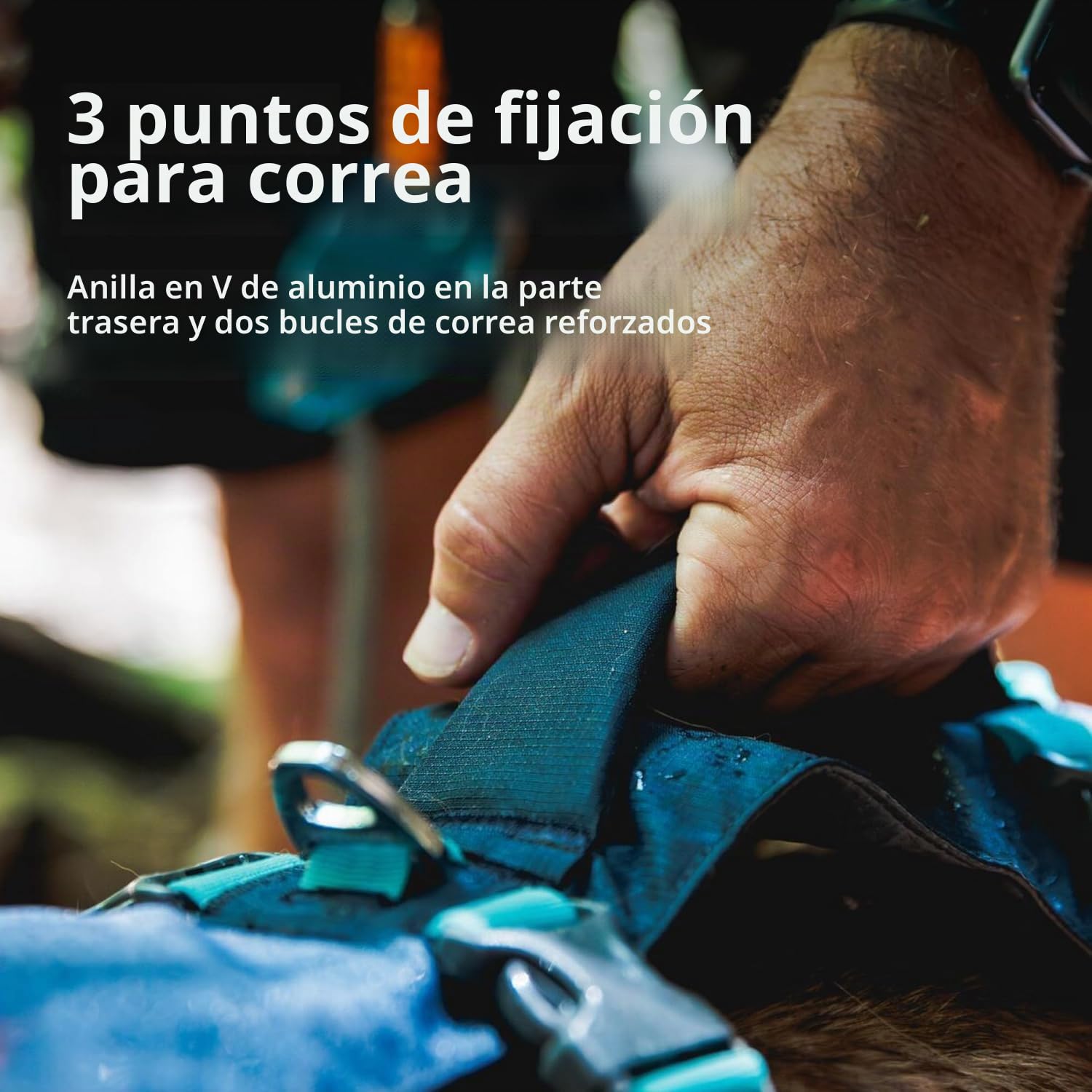 RUFFWEAR Arnés para Perro con asa, Flagline, Multiusos, Ligero, Ajustable, cómodo, para Caminar, 3 Puntos de fijación de Plomo, Correa Reforzada y Anillo en V de Metal Fuerte