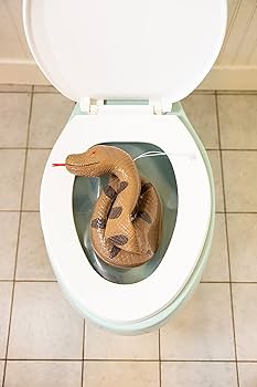 Amazon | BigMouth トイレ 蛇 いたずら | プール・水遊び | おもちゃ