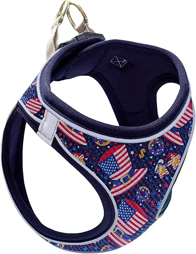 MITA Juego de arnés y correa para perro, arnés para cachorro, arnés para gato, cómodo arnés para perros grandes y pequeños, transpirable y de malla
