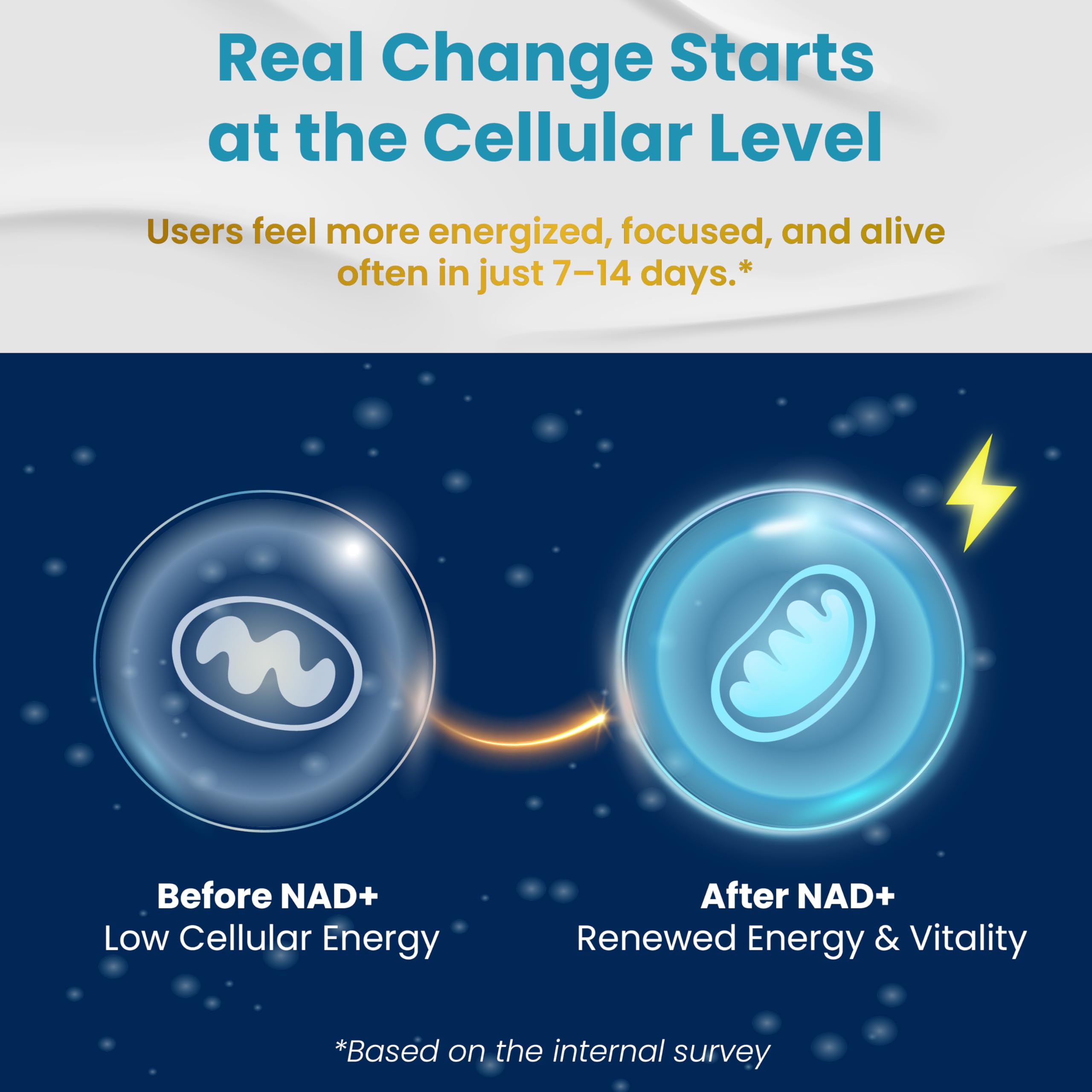 VEGATOT NAD+ Boosting Complex - NAD Supplements for Women & Men 15-in-1 Formula with Resveratrol Turmeric Quercetin Rosemary Bilberry Sage Green Tea