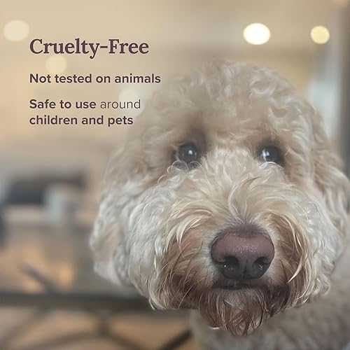 Miniatura 5 de Magnificent 101 Vela de aromaterapia perfumada de Palo Santo de larga duración, 14 onzas, 56 horas de combustión, hecha de cera de soja para