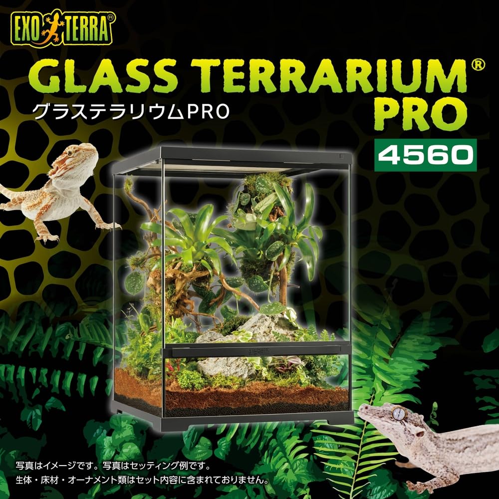 Amazon | 【ジェックス】グラステラリウムPRO4560 PT4405 | ペット 