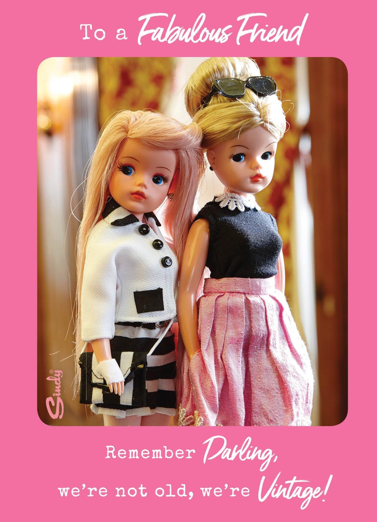 Sindy FABULOUS FRIEND BIRTHDAY CARD ' We're Not old, We're 'Vintage'
