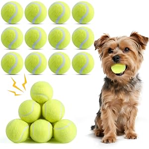 susu wuwu 12 Pack Squeaky Balls for Small Dogs 2 Inch Small Tennis Balls Interactive Fetch Dog Toy