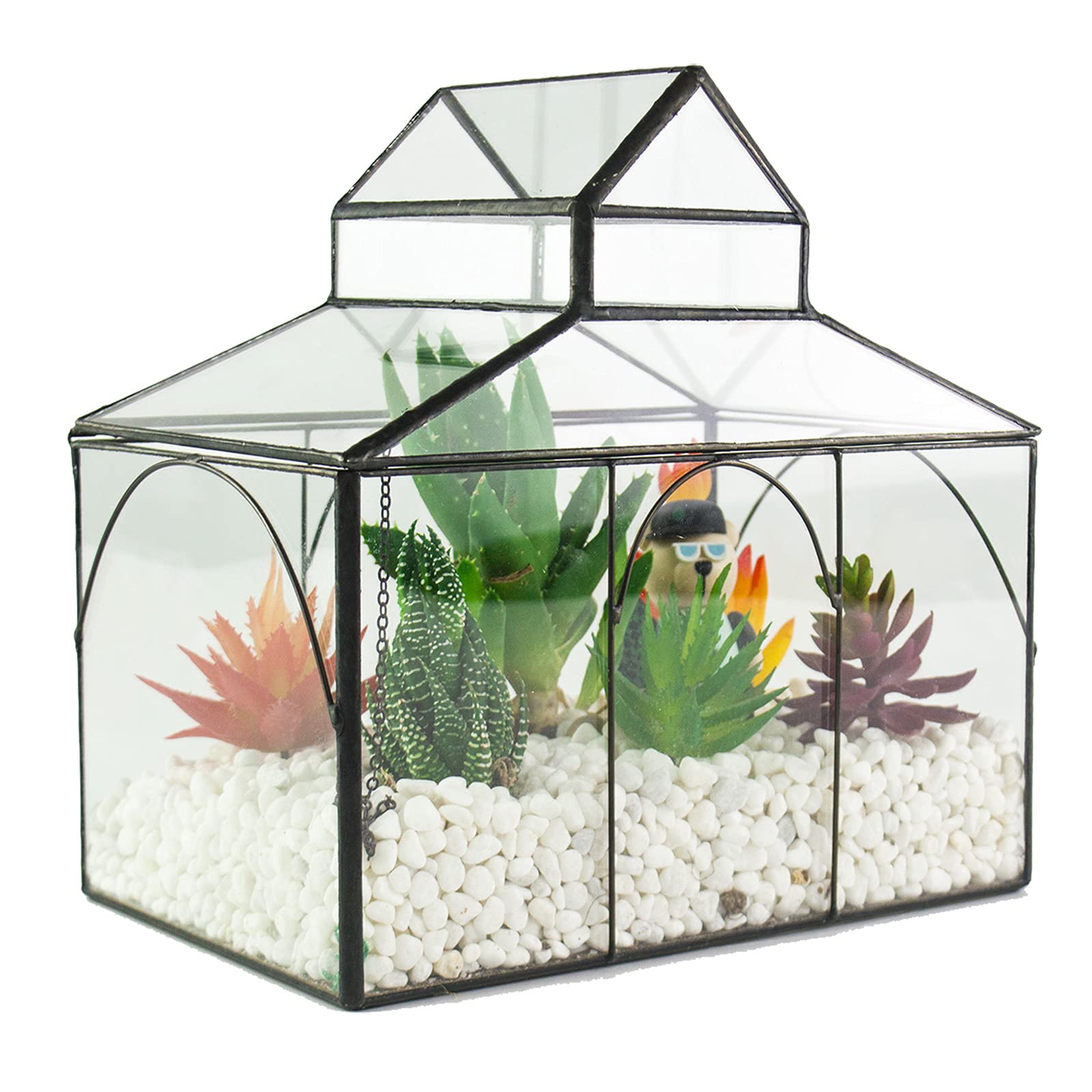 Buy Large Glass Plant Terrarium Greenhouse Succulent House Plant