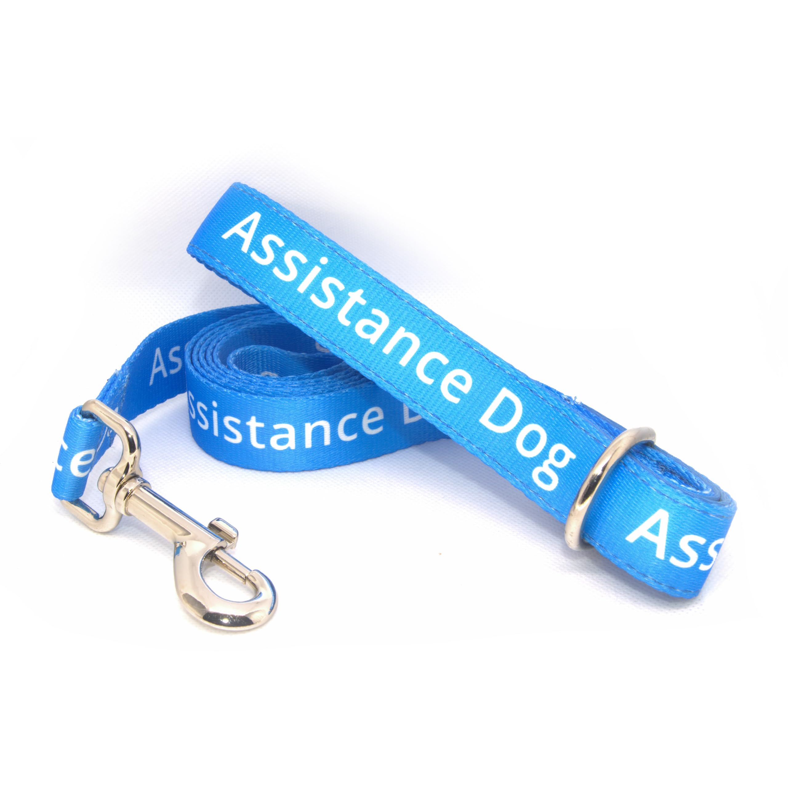 Durable Blue Assistance Dog Lead - 2.5cm/152cm - Padded Handle, Large