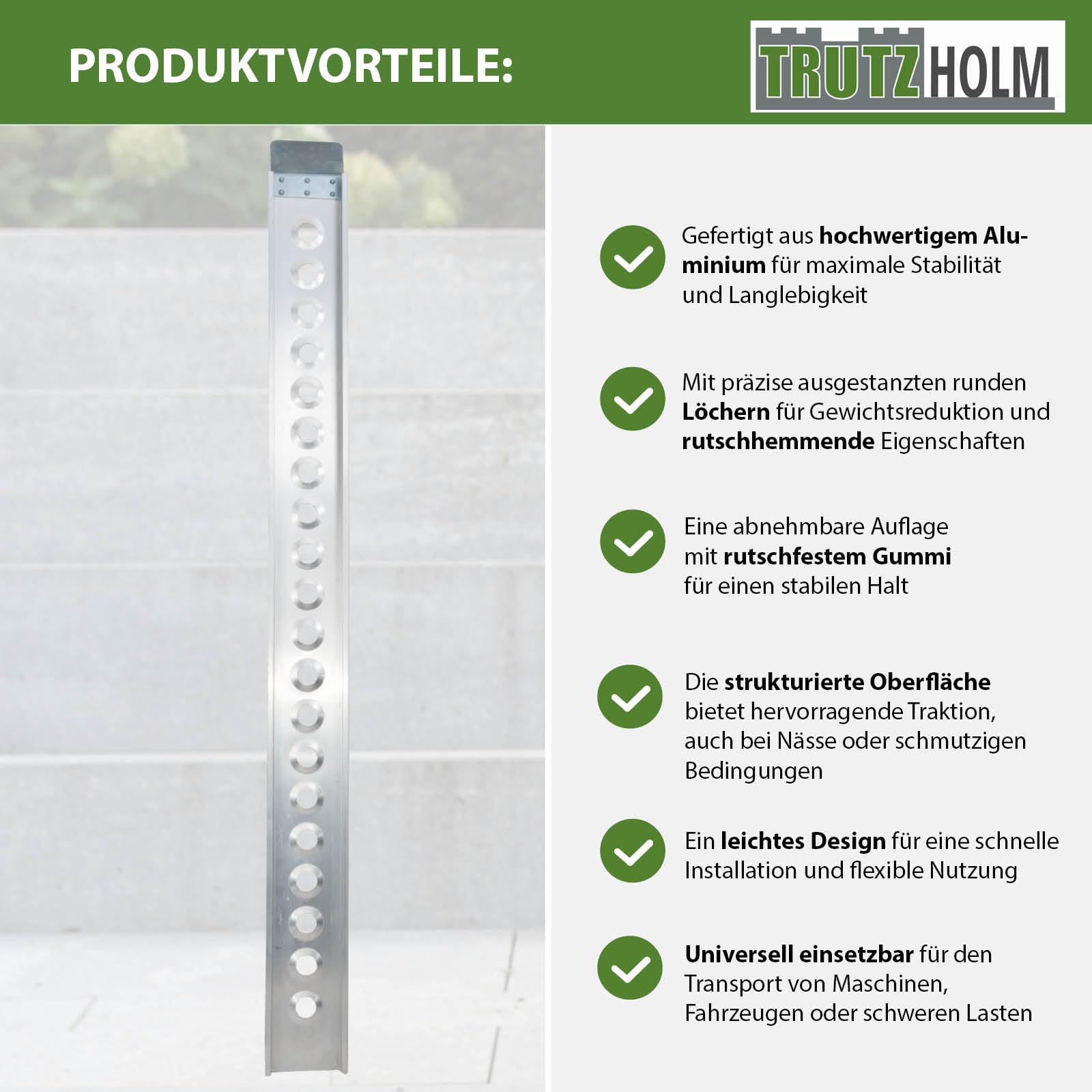 TRUTZHOLM Auffahrschiene Aluminium 194 cm Traglast 200 kg Verladerampe Motorrad Moped E-Bike Fahrrad inkl. Spanngurt Grau