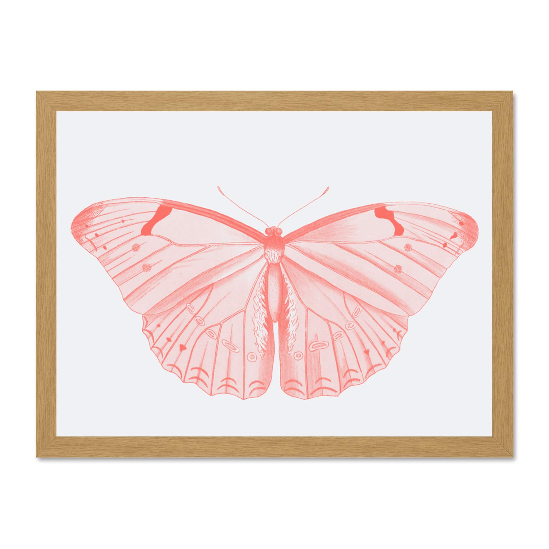 Wee Blue Coo Living Coral Butterfly Large Light Oak Framed Art Print Wall Poster 18x24 inch