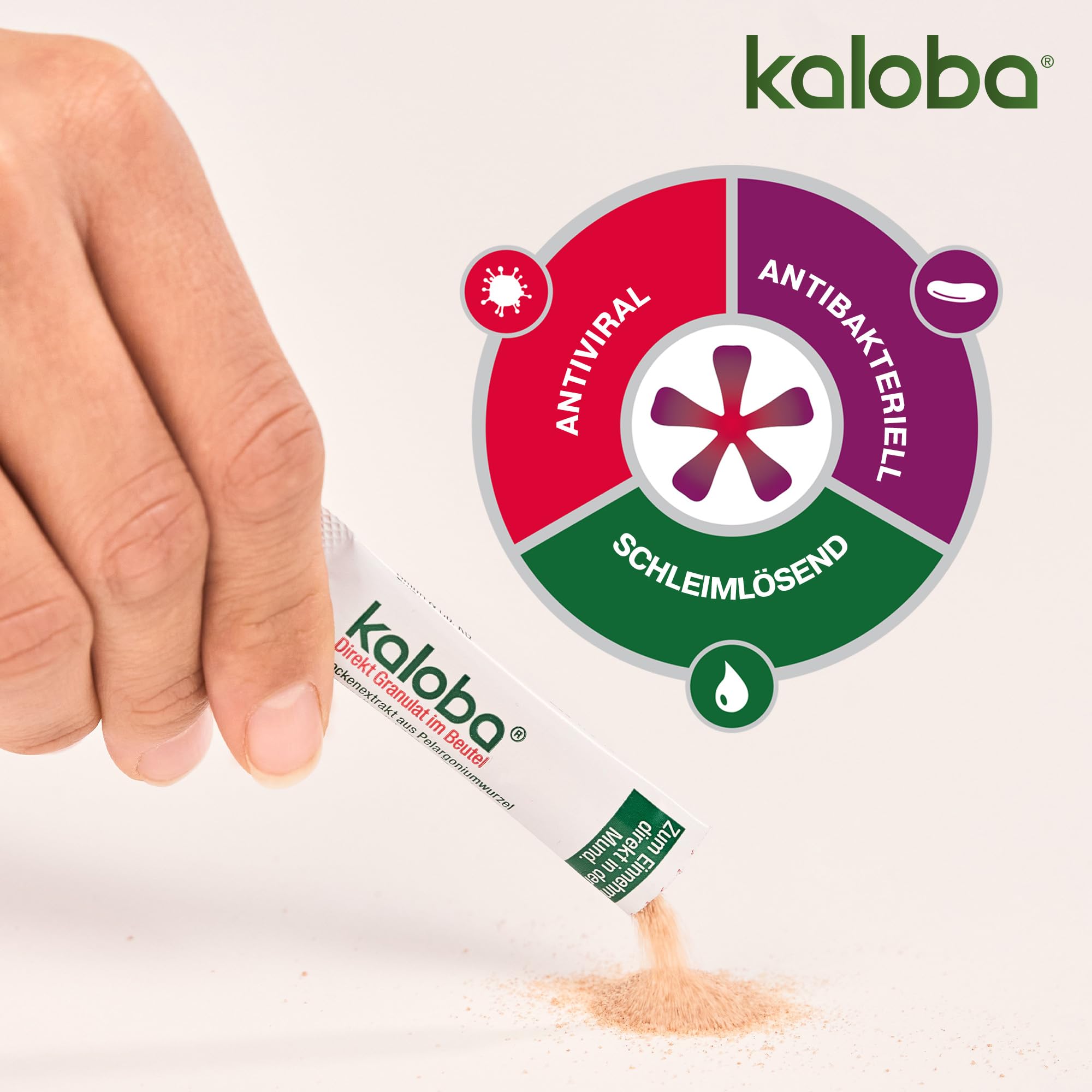 Kaloba Direkt Granulat – Pflanzliches Arzneimittel bei Erkältung & Bronchitis, bei viralen Infekten, Bakterien & festsitzendem Schleim, für Erwachsene & Kinder ab 6 Jahren, 21 St