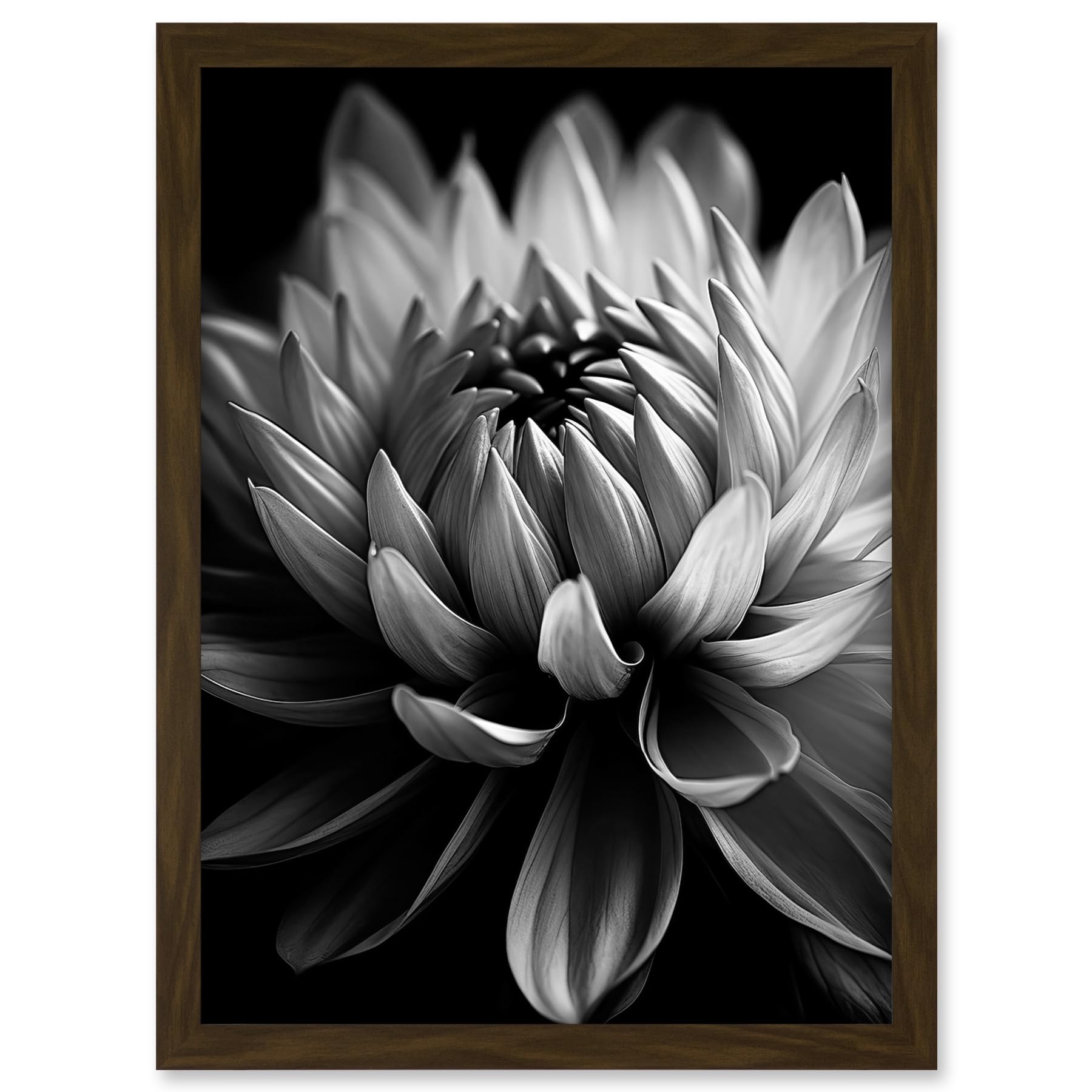 Artery8 Macro Close Up Dahlia Flower Black and White Photo Artwork Framed A3 Wall Art Print