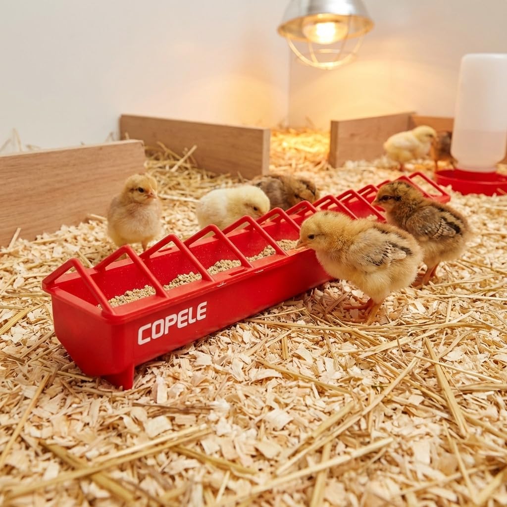 Suinga Pack 4 Comederos plásticos para Gallinas | Rejilla Ancha 100x12x13 cm | Comedero para Pollitos 1ª Edad | Canal Anti-Desperdicio