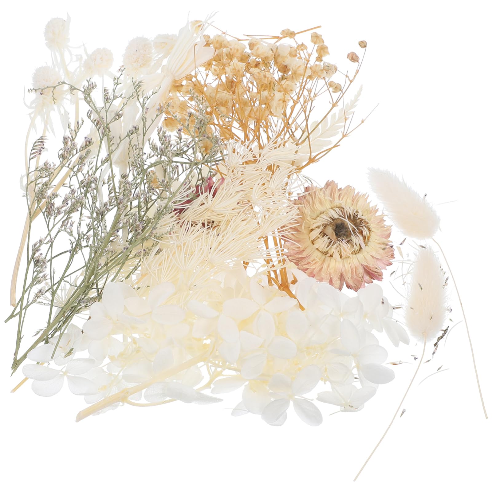 COHEALI 5sets Fiori Secchi Pressati Per Fiori Naturali Per Creazioni Candela e Decorazioni Fai Da Te Materiale Per Biglietti Di Auguri e Arte Unghie