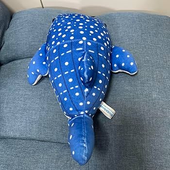 Amazon.co.jp: 美ら海水族館 ジンベイザメ ぬいぐるみ ジンベイザメ