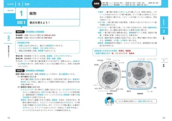 Amazon.co.jp: きめる!公務員試験 自然科学: 充実の「過去問
