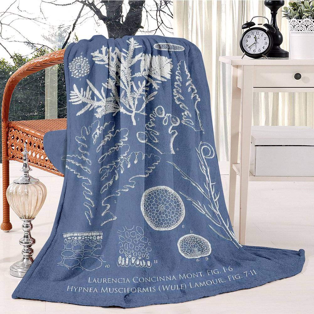Laurencia Concinna And Hypnea Musciformis Bed Blanket Plush Velvet Soft Warm Blanket Lightweight Microfiber Cozy Blanket Christmas Blanket for Bed Couch Chair Sofa, 130x150cm