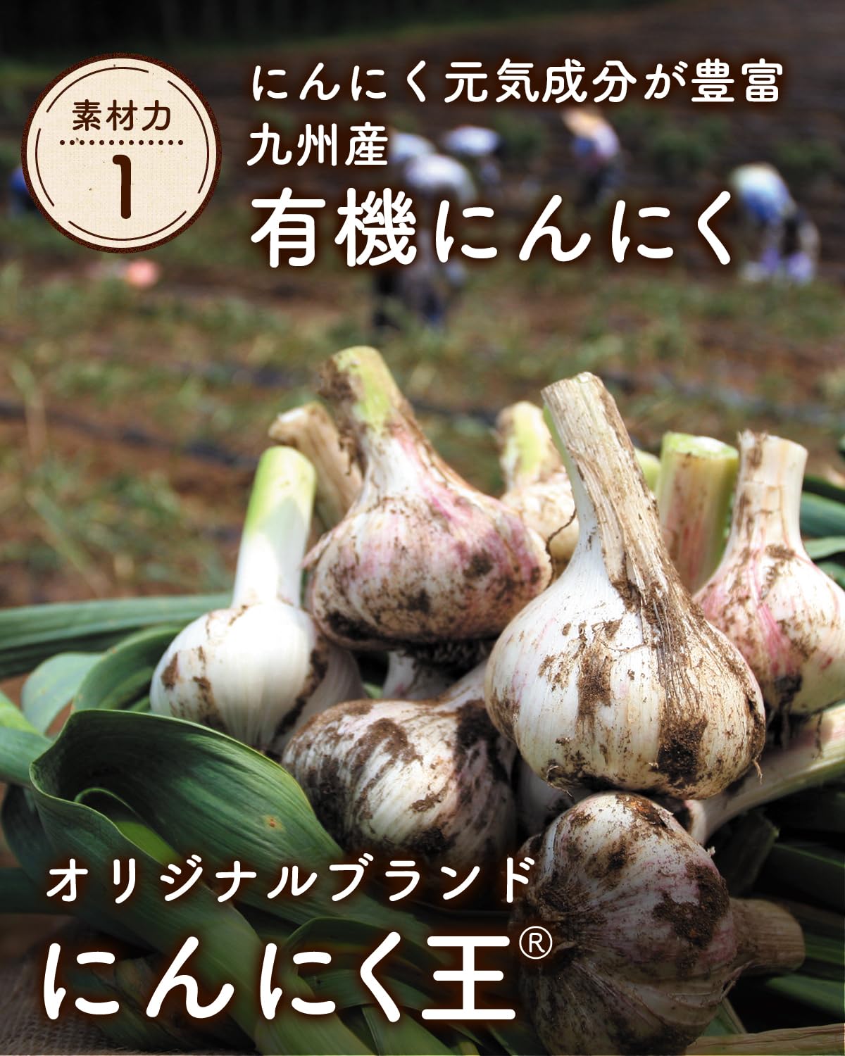 Amazon.co.jp: 健康家族