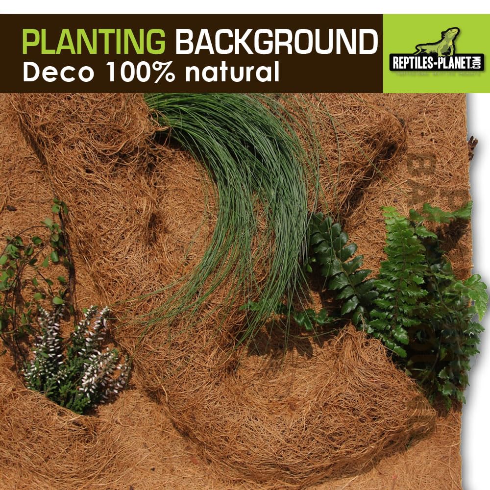 Reptiles Planet – Imagen de Fondo de Coco para terrarios para Planter 30 x 30 x 1 cm