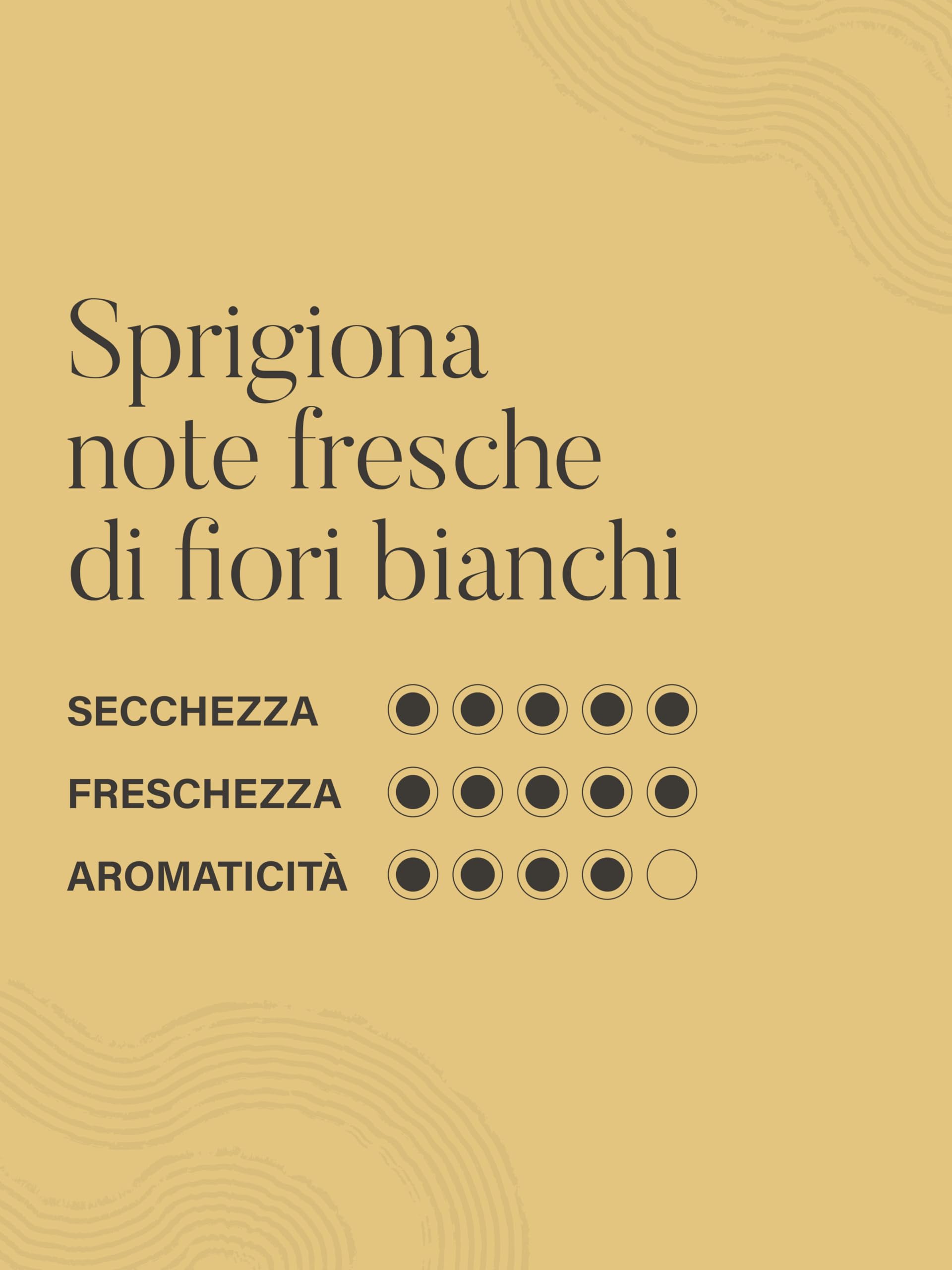 VAL D'OCA - Extra Brut Millesimato - Valdobbiadene Prosecco Superiore DOCG Extra Brut Millesimato - 6 Bottiglie da 750 ml