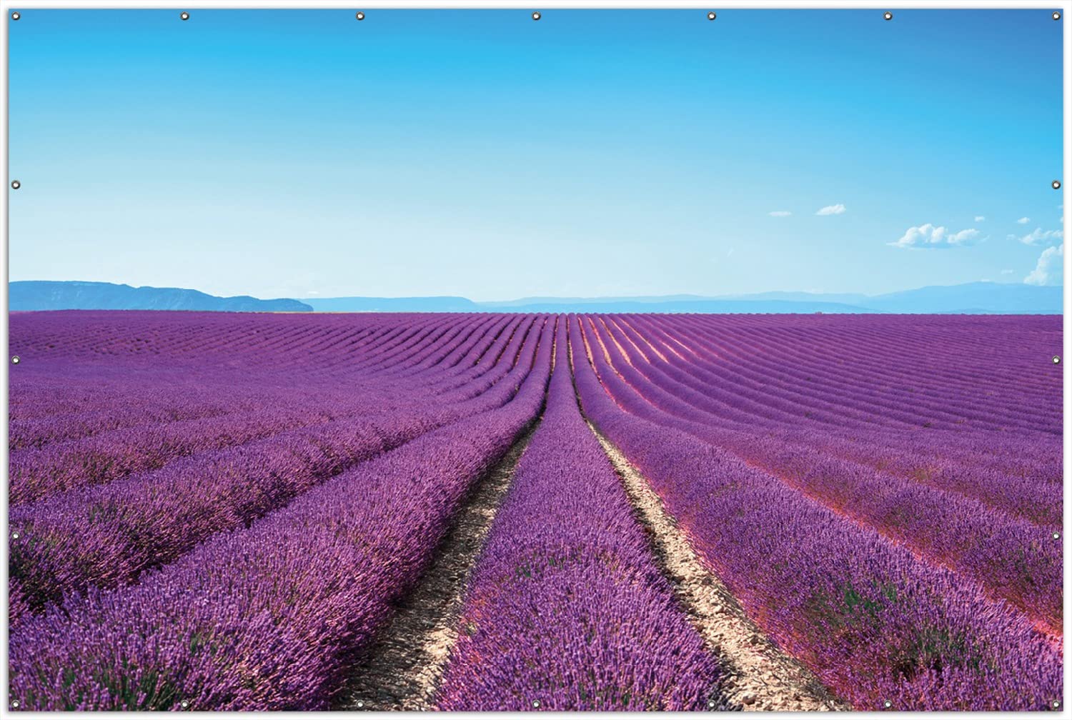 Wallario XXL Outdoor-Poster für Garten oder Balkon Lavendelfeld unter blauem Himmel, Motivbanner Größe: ca. 300 x 200 cm, Outdoor-Bild
