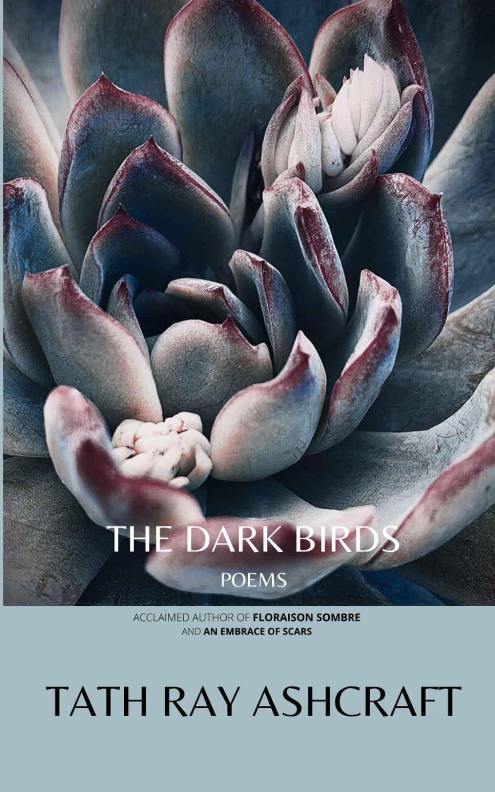 The Dark Birds: Poems