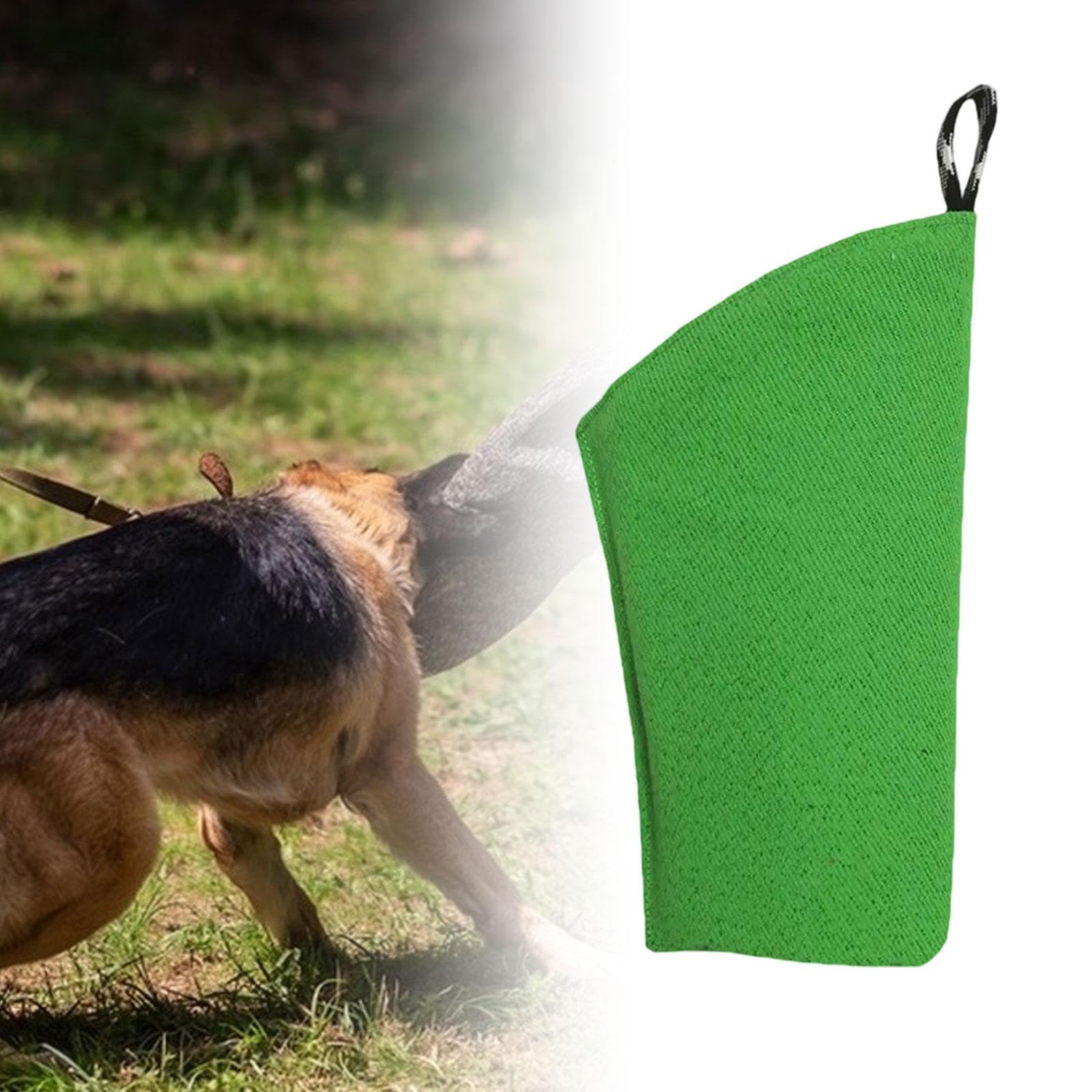 Baoblaze Manga de Perros Manga Profesional sólido Juego Interactivo Protection Equipo de Entrenamiento de Perros para Trabajos Perros jóvenes para Perros
