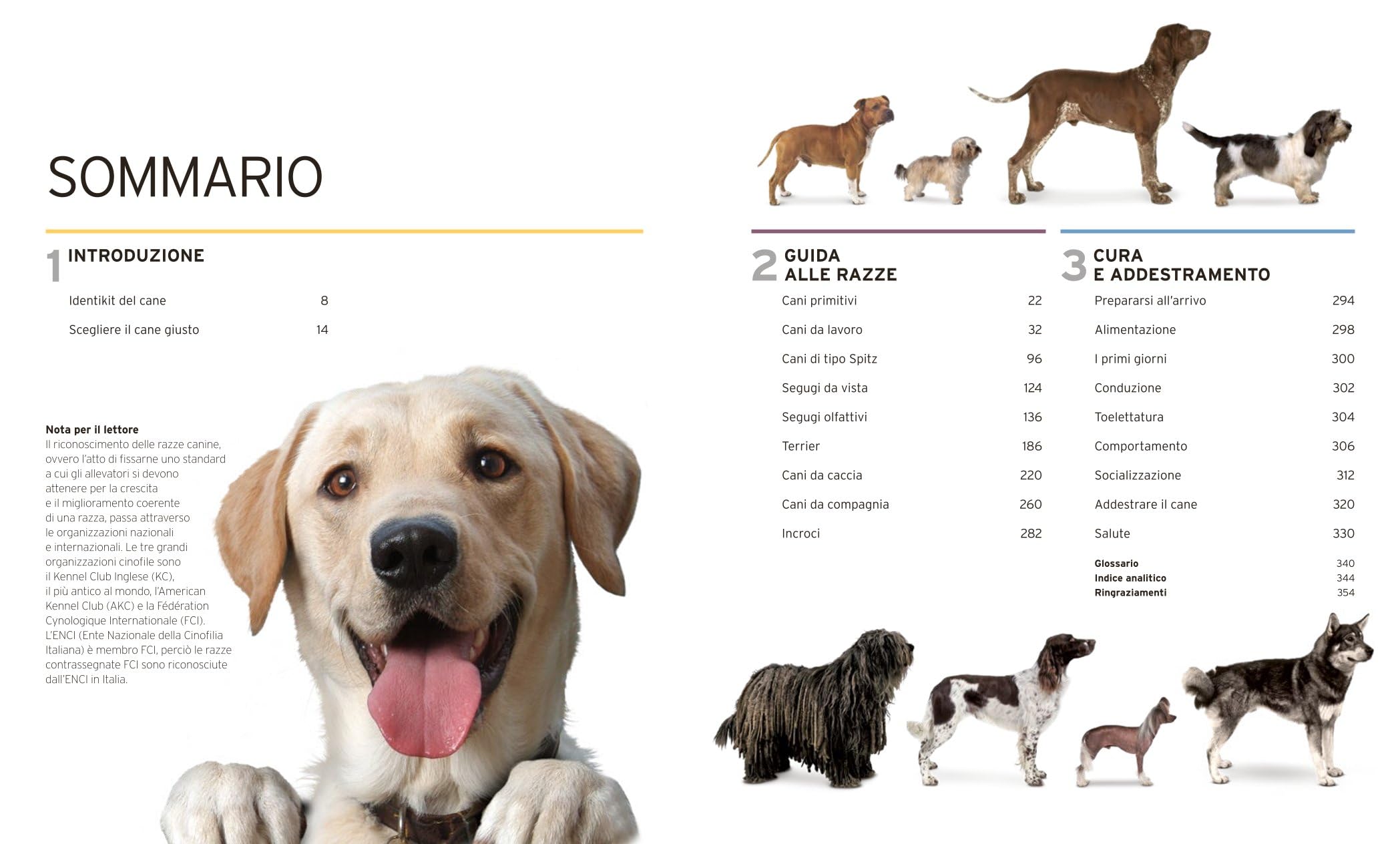 Il grande libro del cane. Tutte le razze: caratteristiche, attitudini, comportamenti e curiosità. Ediz. illustrata