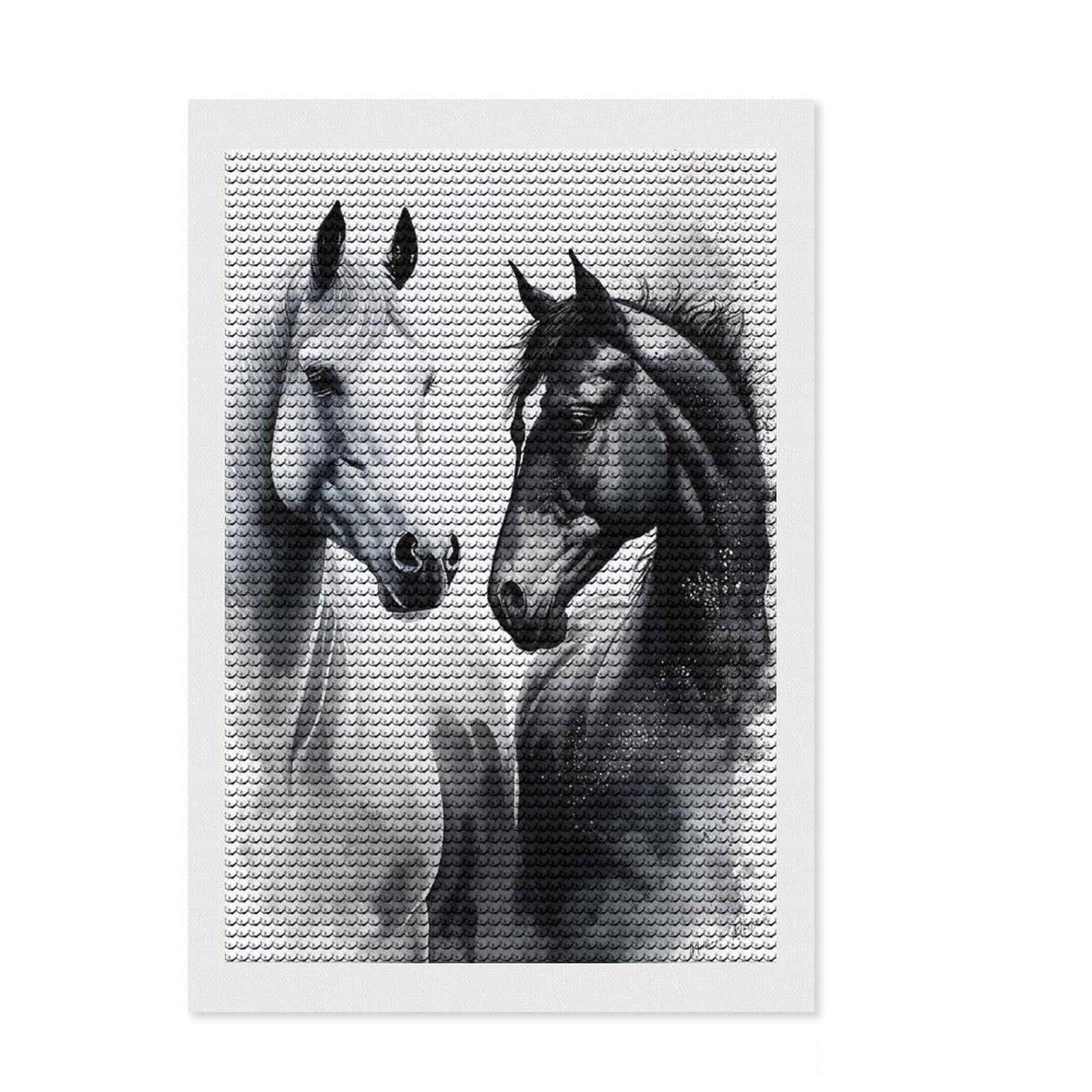 Junmoney Black and White Horse Round Drill Diamond Painting 8"x12", for Women, Pleasing Wall Art Project, Boho Decor, Thoughtful Handmade Gift