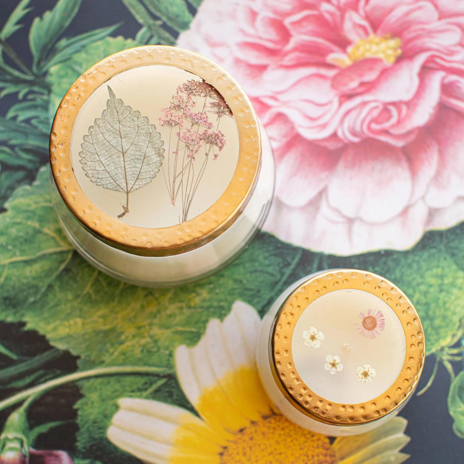 Rosy Rings Gepresste Blumenkerze, Aromatherapie-Kerzen, langlebige Duftkerzen für Heimdekoration, Botanicals Geschenke, Noten von Aprikose, blondem Holz, Mirabelle Plum Medium (Apricot Rose)