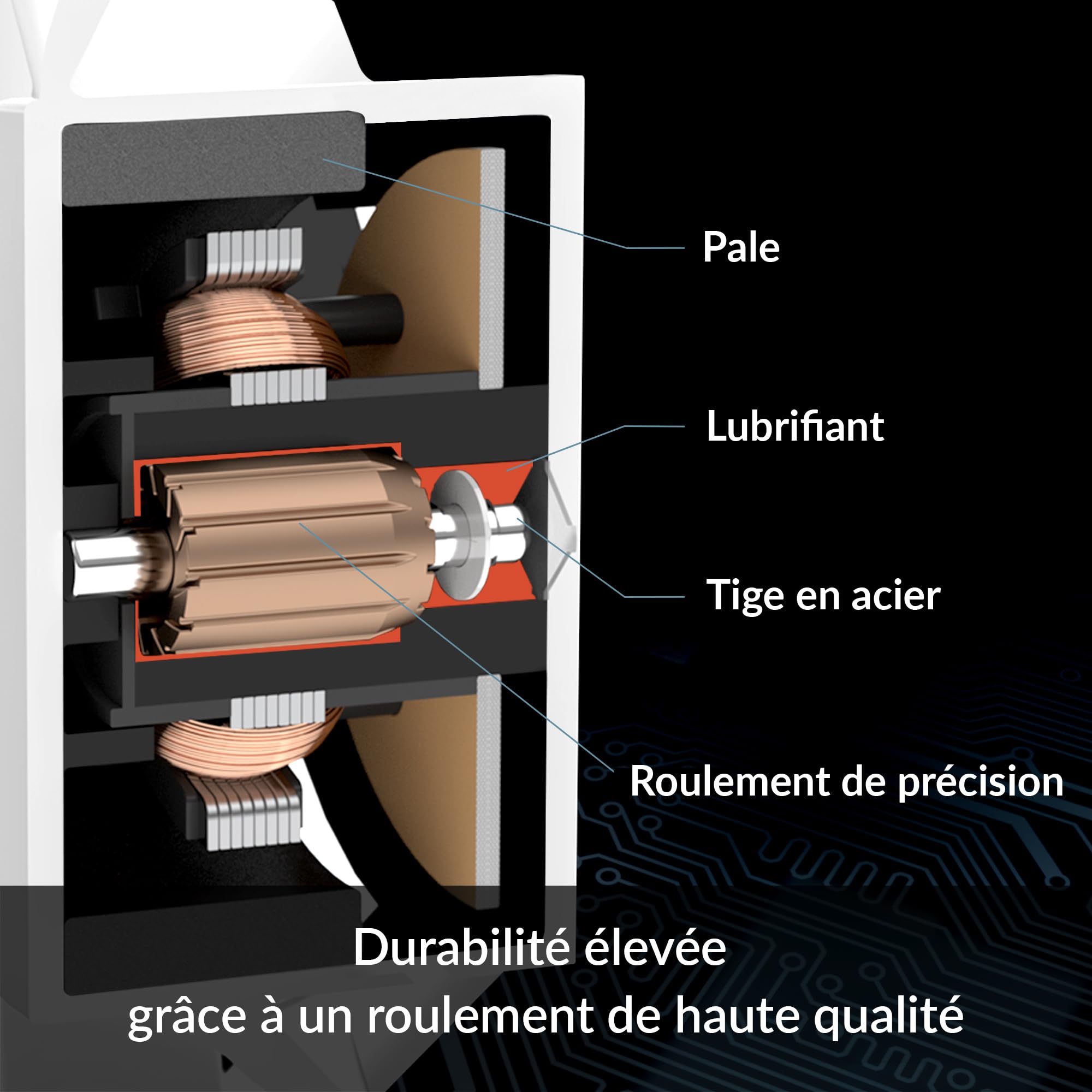 ARCTIC P12 Max (blanc) - 120 mm Ventilateur PC, Fan, Ordinateur