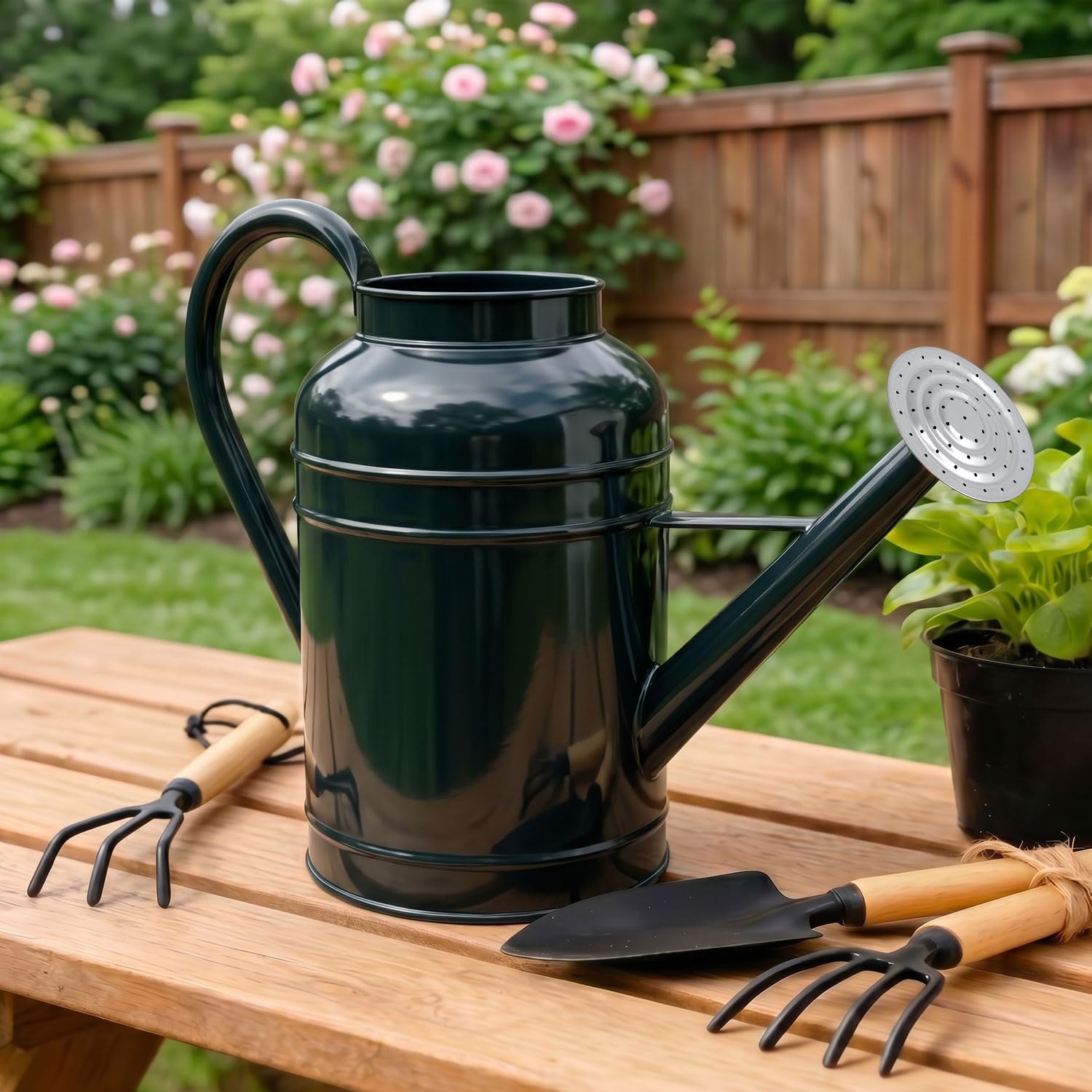 Silberverzinkte Eisen-Gießkanne für Zimmerpflanzen, Gießkanne mit Schale für Zimmerpflanzen und Gartenblumen, Gießkanne mit langem Auslauf für die Bewässerung von Pflanzen im Freien, 8,71 l