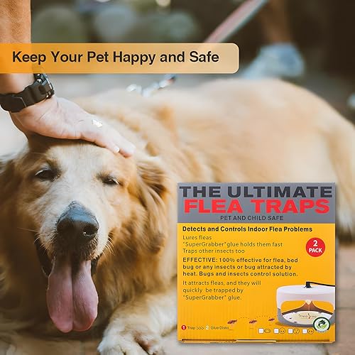 Miniatura 8 de Trampas para pulgas para el interior de tu hogar, paquete de 2 unidades, trampa para pulgas para control de plagas en interiores, mata insectos con