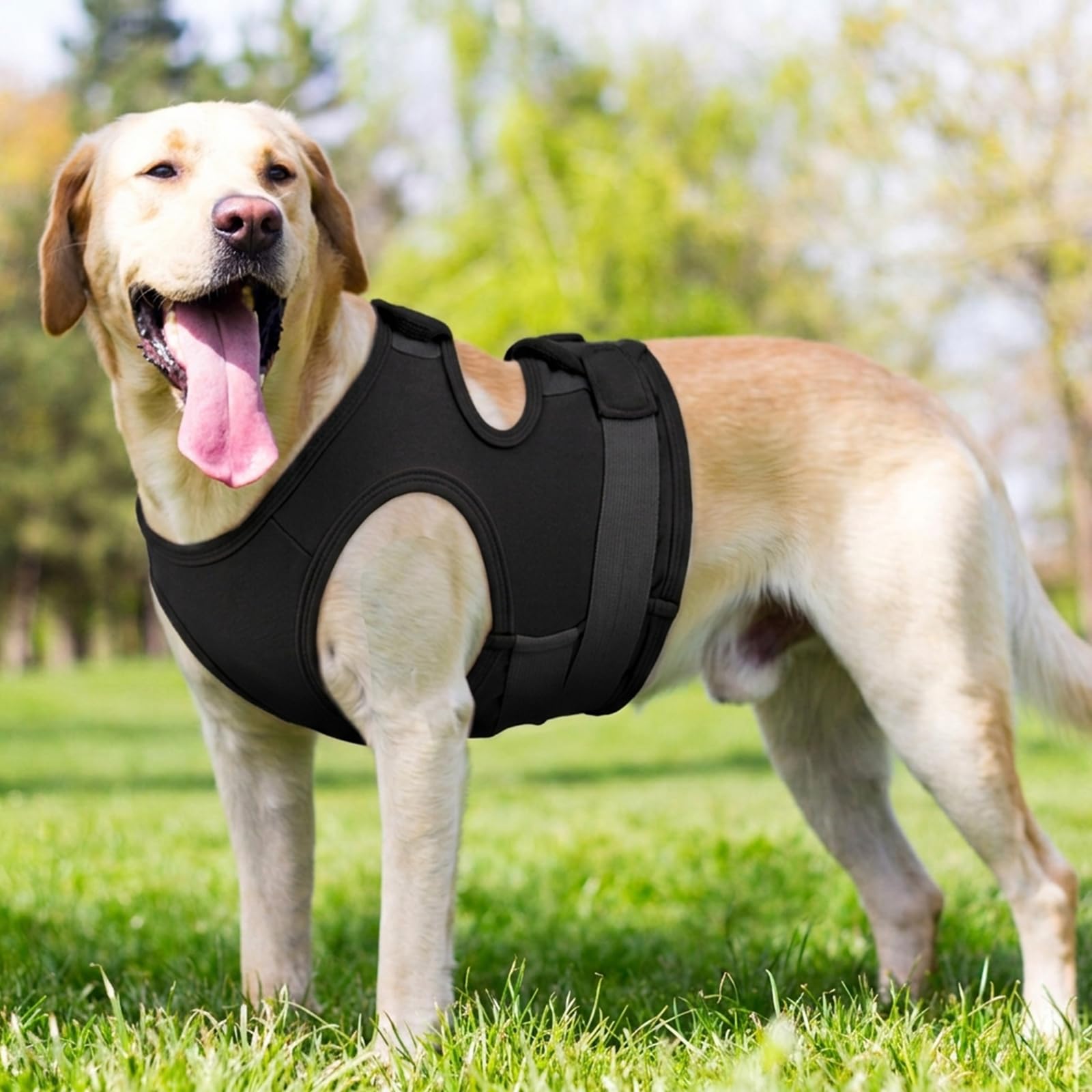 MIGOHI Giacca per alleviare l'ansia del cane, maglia calmante traspirante per cani, morbida maglia a compressione per temporali, fuochi d'artificio, separazione, fascia calmante per l'ansia del cane