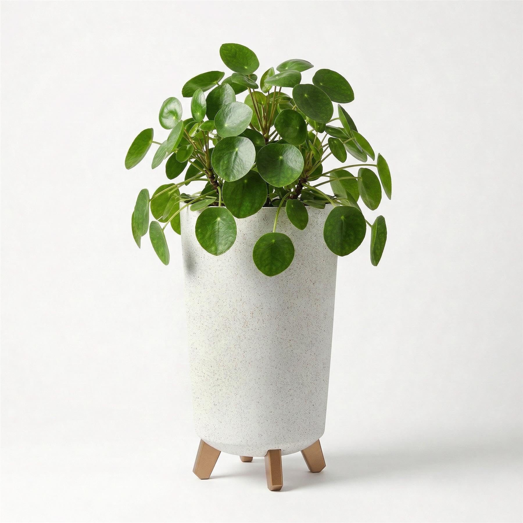 Geezy Tall Plant Pot With Legs 23.9Cm Indoor Outdoor Weather Resistant Garden Planter from B&Q