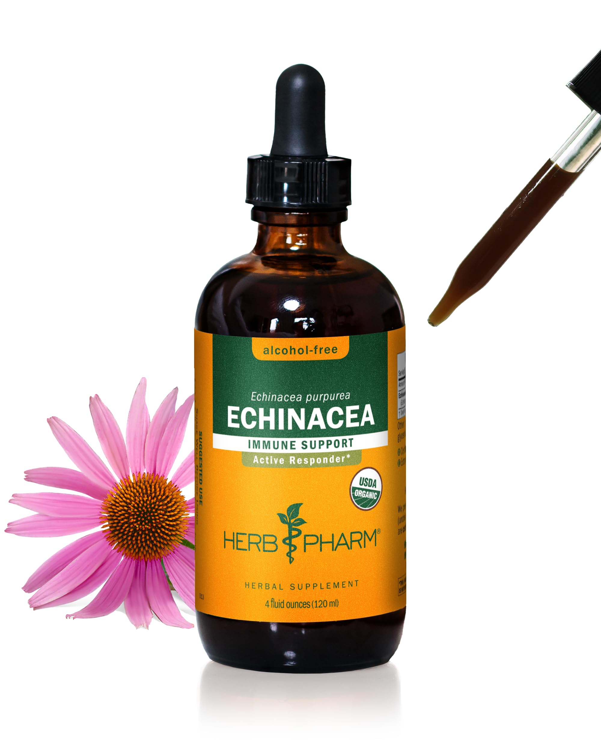 Herb Pharm Certified Organic Echinacea Root Liquid Extract for Immune System Support, Alcohol-Free Glycerite, 4 Ounce