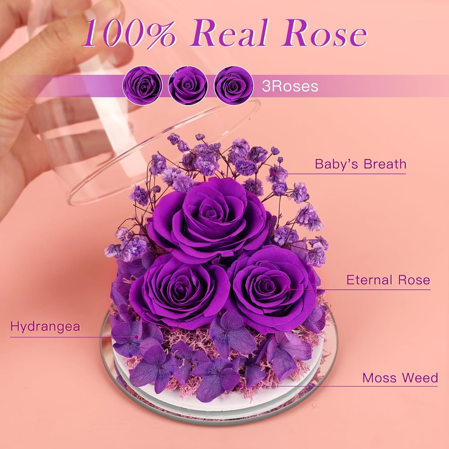 Valentines Day Gifts for Her Women Preserved Flower Rose, Forever Eternal Flowers in Glass Angel Figurines Flowers for Delivery Prime Purple Gift for Grandma Mom Sister Wife Girlfriend Mother Birthday - Image 2