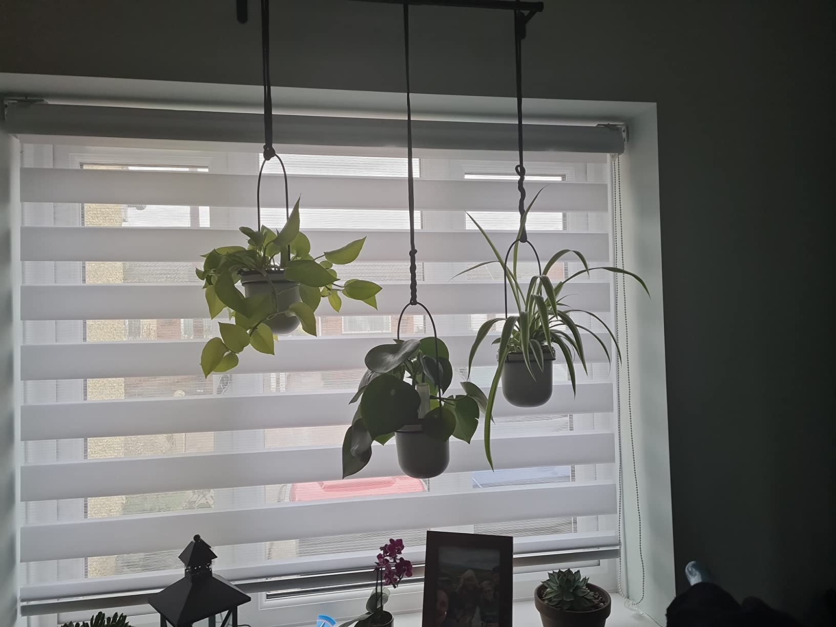 Customer photo