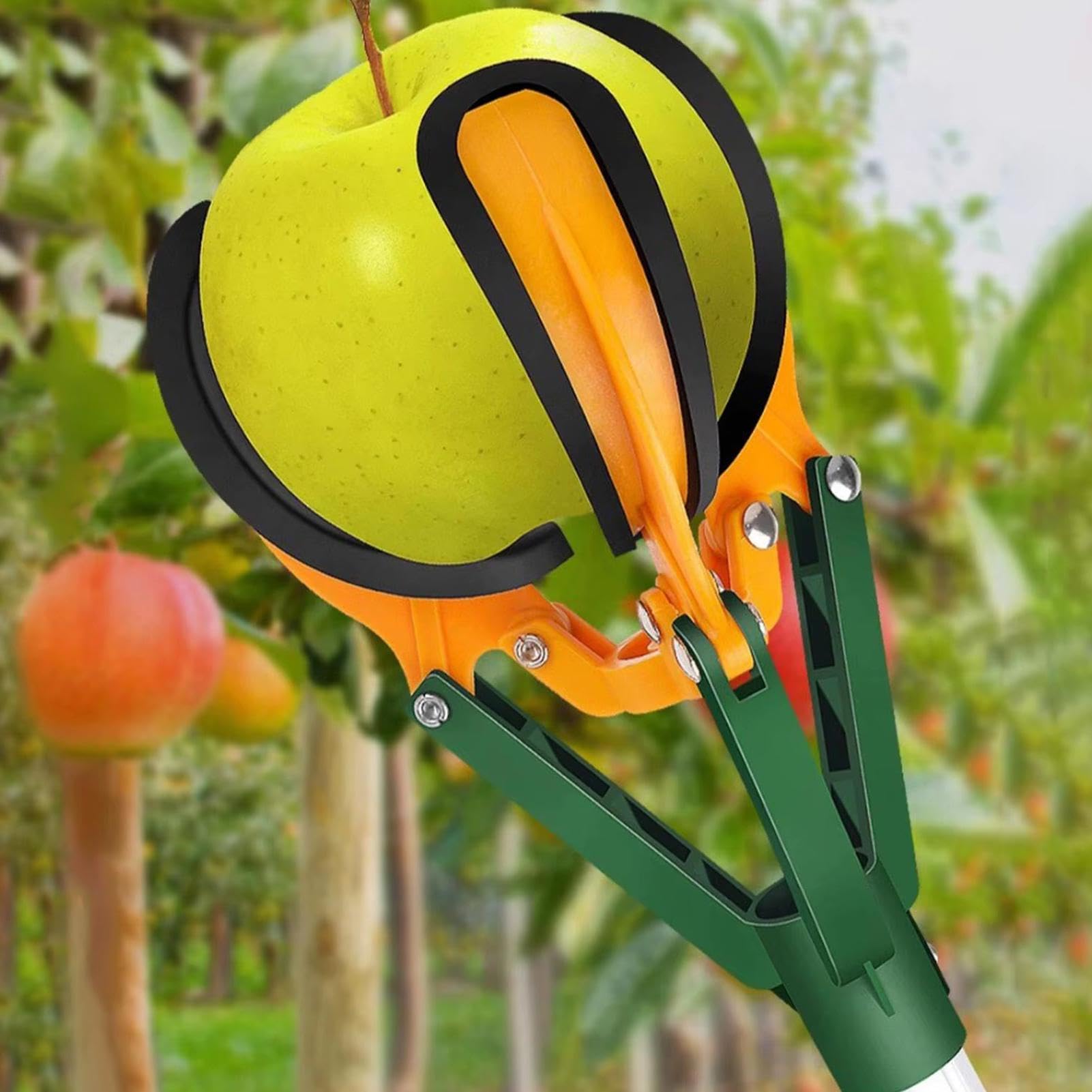 Tige ramasse-fruits outil pour la récolte de fruits de verger
