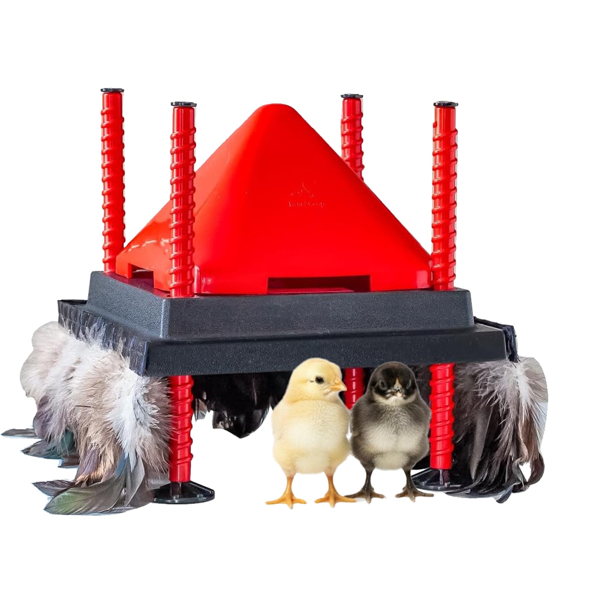 RentACoop Chick Brooder Heating Plate and Anti-Roost Cone Set - Brooder Heating Plate Warms Up to 15 Chicks - Chick Heater with 25 Adjustable Heights and 13 Watts - Safer Than Heat Lamps - 10" x 10"