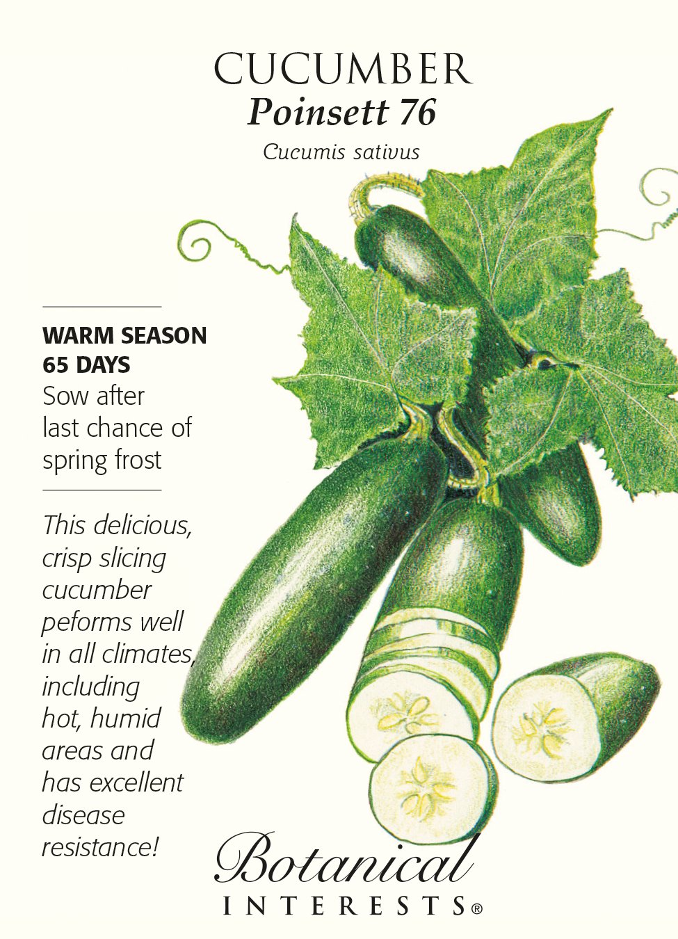 Poinsett 76 Cucumber Seeds - 2 Grams