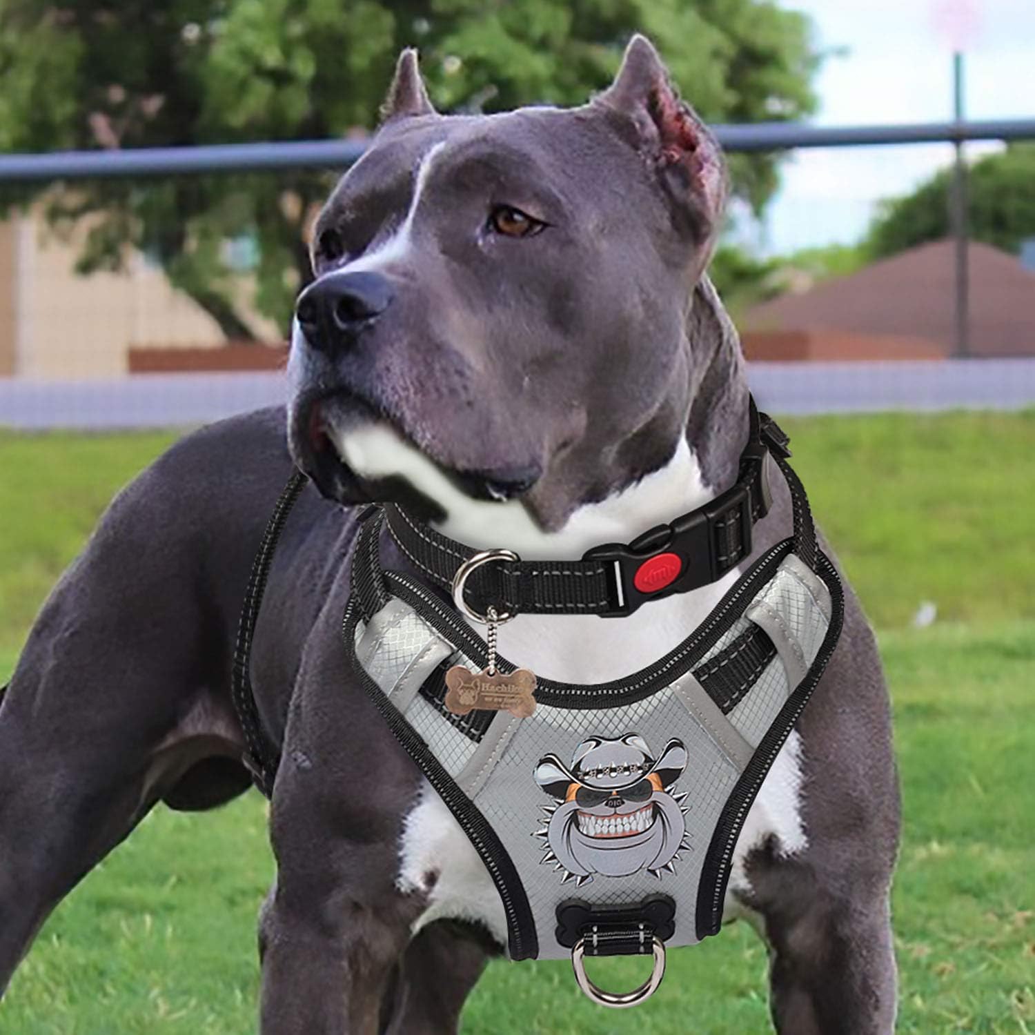 PENGDADog Harness L Anti Pull Car Harness with Adjustable Handle Reflective Breathable Mesh Comfortable for Outdoor Training or Walking, Lightweight and Easy to Control