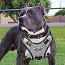 holuck dog harness