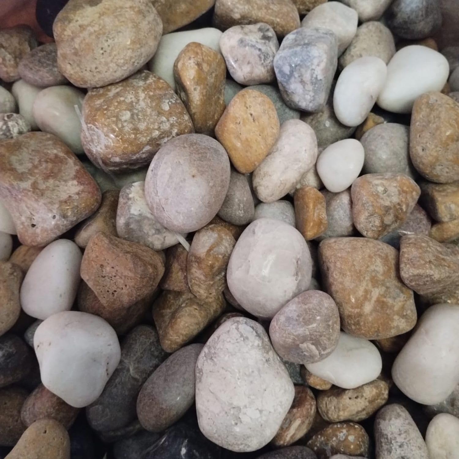 Foodie Puppies Natural Finish Stone (Mix Onyx Stone, 900gm) (2cm - 3.7cm) Attractive Quality Decorative Substrate Big Size Pebbles for Aquarium/Fish Tank, Garden, Lawn, Table, and Flower Vase (B08G4Z1GVF) Amazon Price History, Amazon Price Tracker