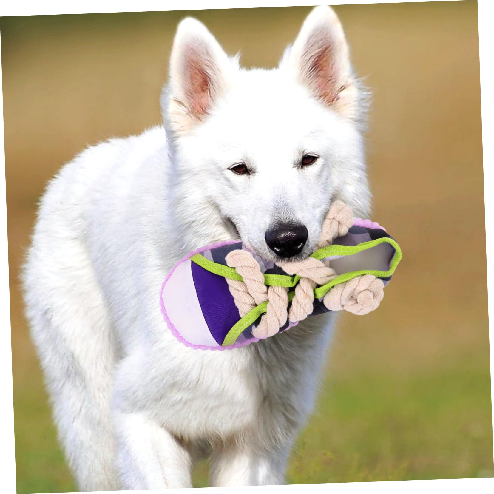 BESPORTBLE Juguete para Perros Grande y Mediano en Forma de Zapato, Resistente a Mordeduras, Fácil de Limpiar, Hecho de Lona y Cuerda de Algodón para Mascotas Divertidas