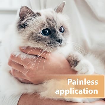 Felisept wound spray for cats 75ml - Cat antiseptic - Cat wound treatment, Wound spray for cats to clean wounds, skin and mucous membranes - Wound care for cats - Easy to use and painless for cats