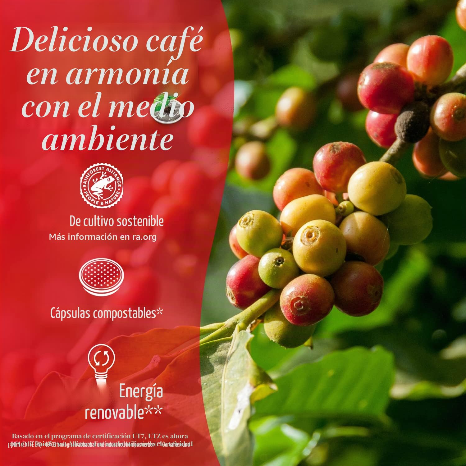 Senseo Pads Classic, Megapack XXL, 480 cápsulas de café, certificado de uso, 10 x 48 bebidas