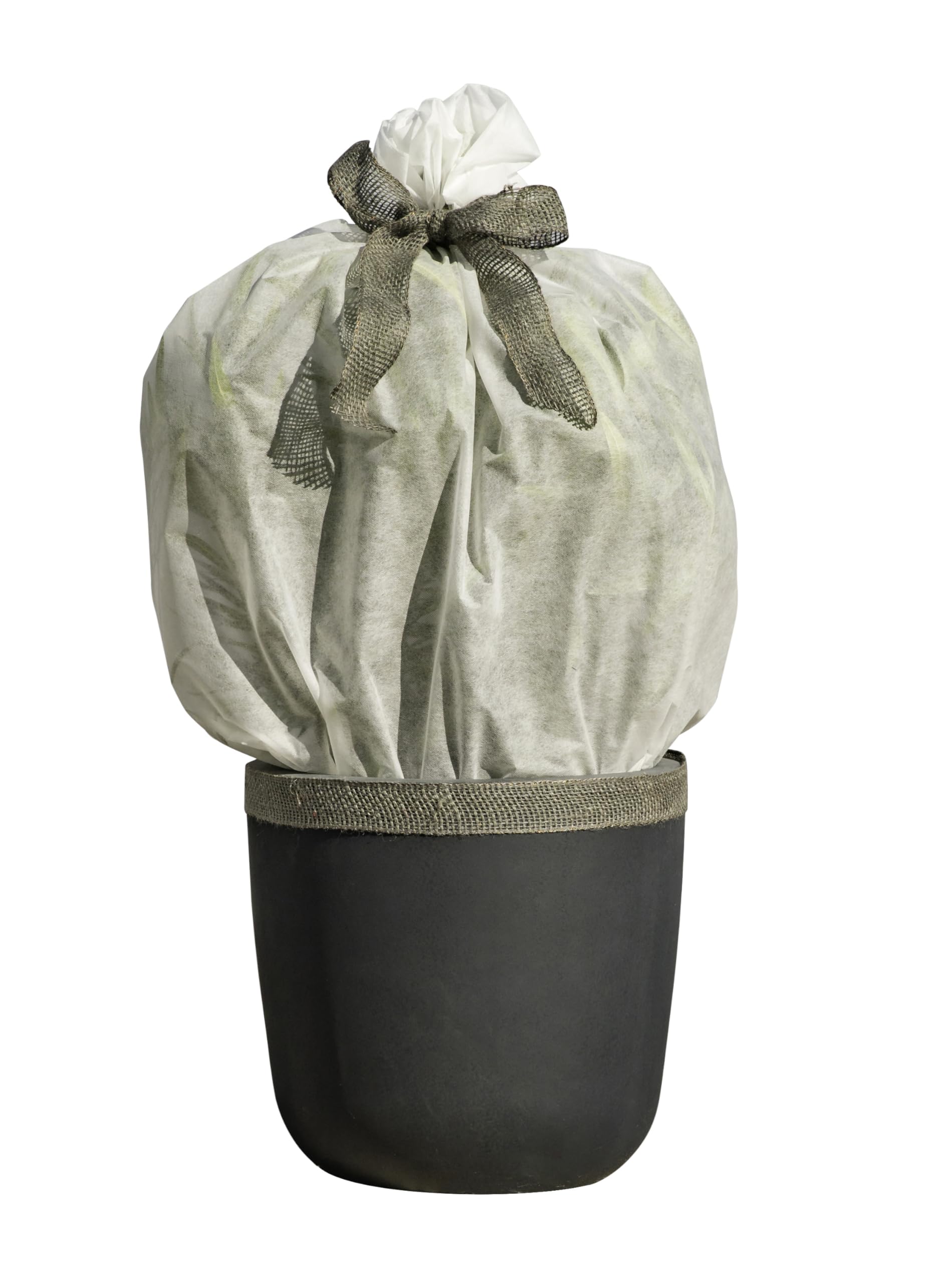 Windhager Telo Invernale Protect XXL In Tessuto Non Tessuto 50g/m² - Protezione Piante Da Gelo E Vento, 1,5 X 2,5 M, Bianco
