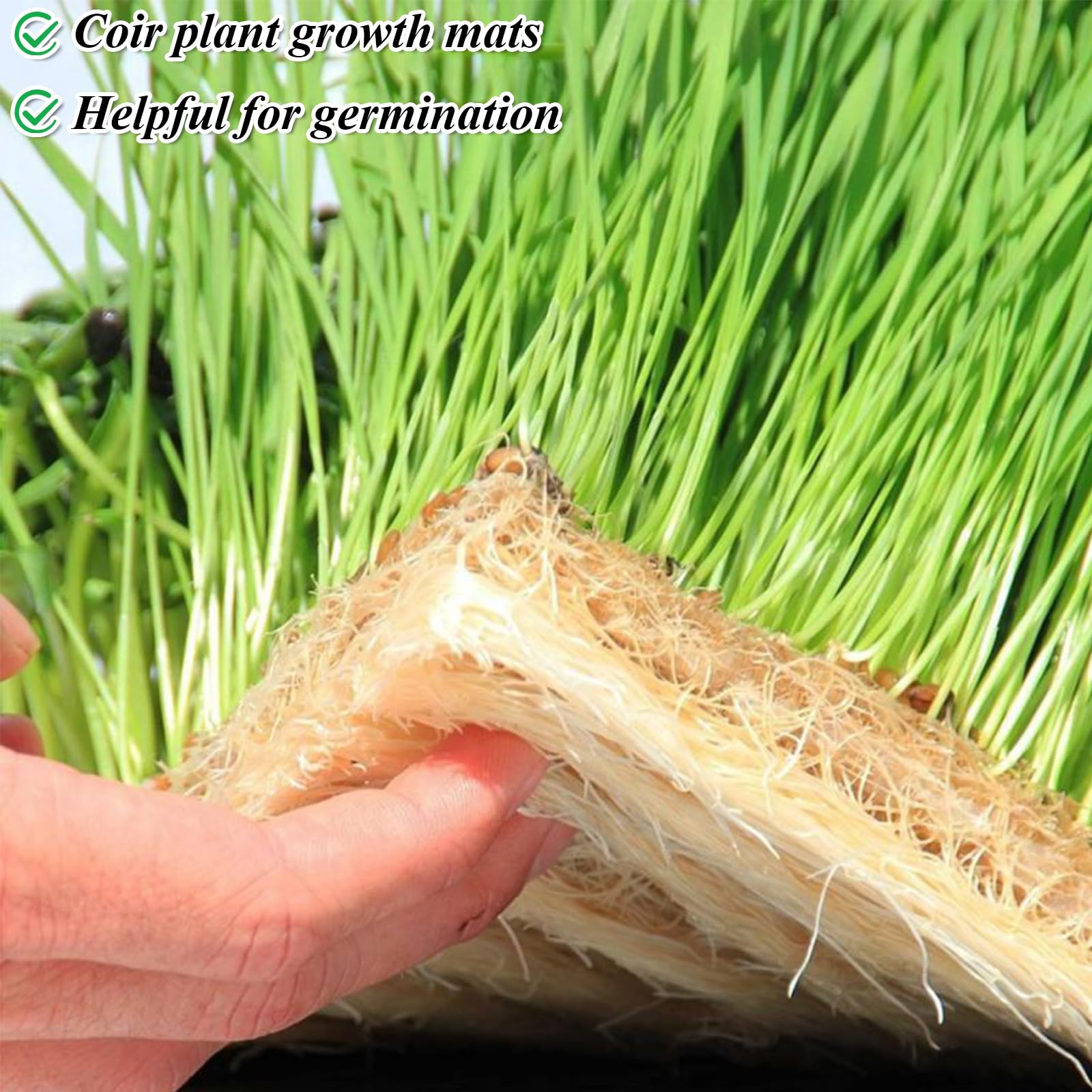 Set di 12 tappetini per la coltivazione di microgreens con vassoio, 25,4 x 25,4 cm, vassoi quadrati per la coltivazione di semi di micro verdi, kit di coltivazione di erbe aromatiche con