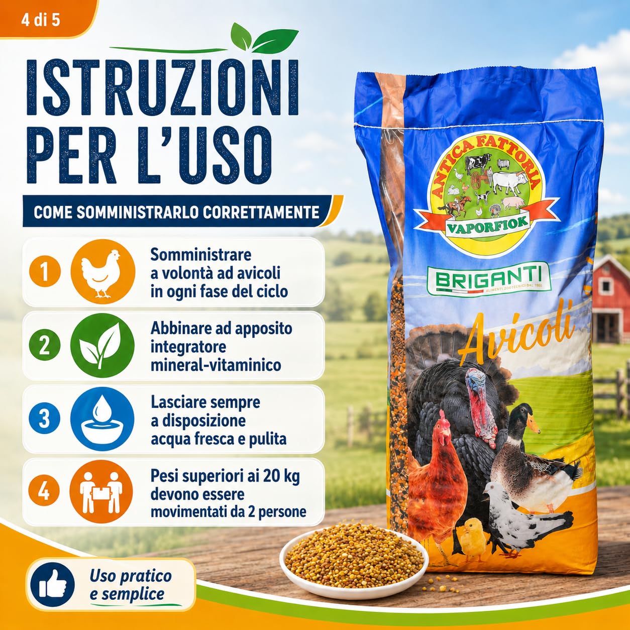 Becchime per Polli e Galline, Mais Franto, Frumento e Sorgo, 25 kg Chicco Gold ideale come alimentazione da mantenimento
